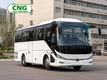 Газовые лучшие автобусы Yutong ZK6947HN